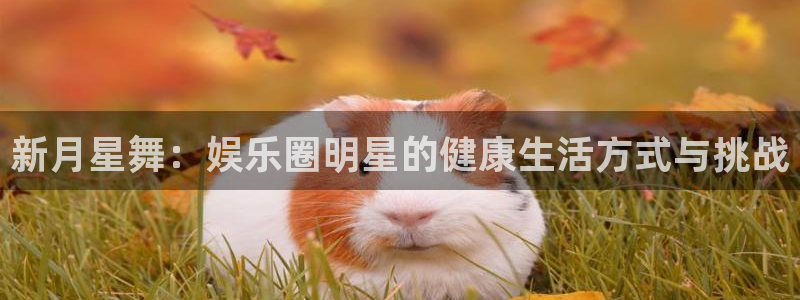 天顺娱乐：新月星舞：娱乐圈明星的健康生活方式与挑战