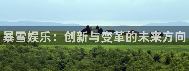 天顺娱乐：暴雪娱乐：创新与变革的未来方向