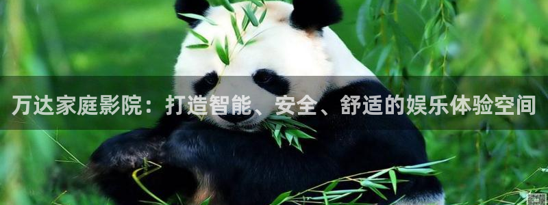 天顺娱乐：万达家庭影院：打造智能、安全、舒适的娱乐体验空间