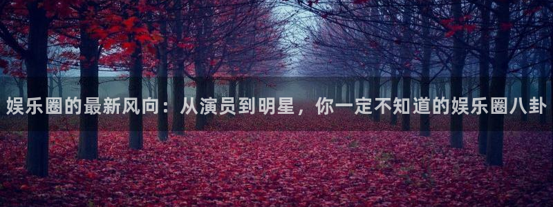 天顺娱乐：娱乐圈的最新风向：从演员到明星，你一定不知道的娱乐圈八卦