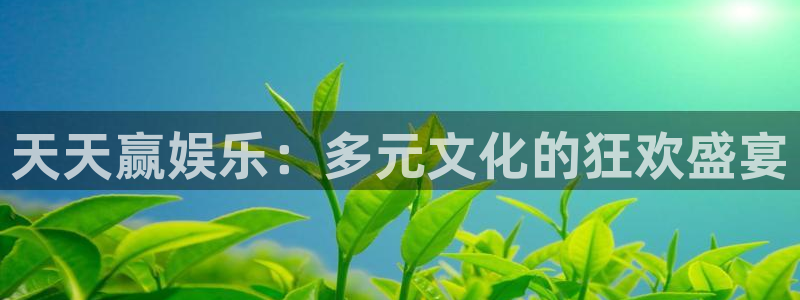天顺娱乐：天天赢娱乐：多元文化的狂欢盛宴