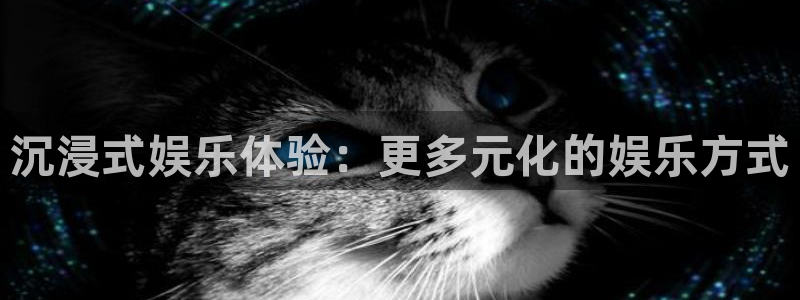 天顺娱乐：沉浸式娱乐体验：更多元化的娱乐方式