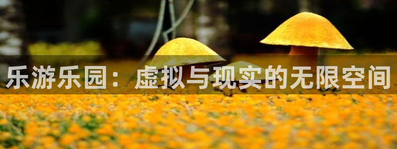 天顺娱乐：乐游乐园：虚拟与现实的无限空间
