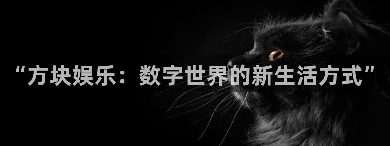 天顺娱乐：“方块娱乐：数字世界的新生活方式”